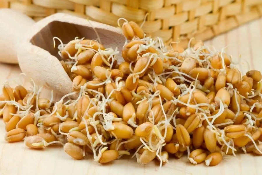 Ставим самогон на пшенице без дрожжей: лучшие рецепты