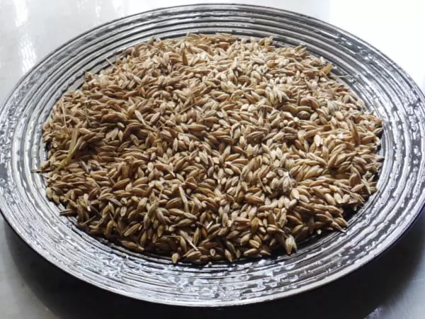 Популярный рецепт зерновой браги на пшенице