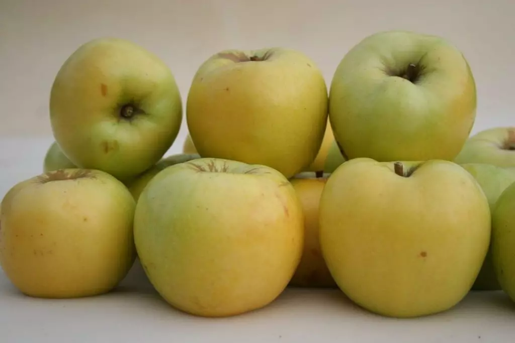 Подборка проверенных рецептов домашнего сидра из яблок