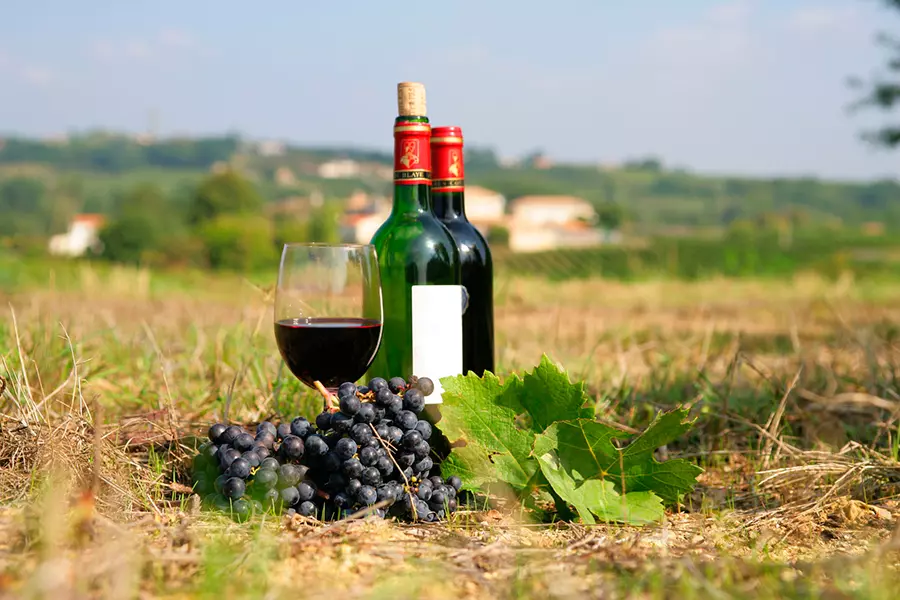 Французские вина - классификация, названия и описание известных марок в Франции (с фото)