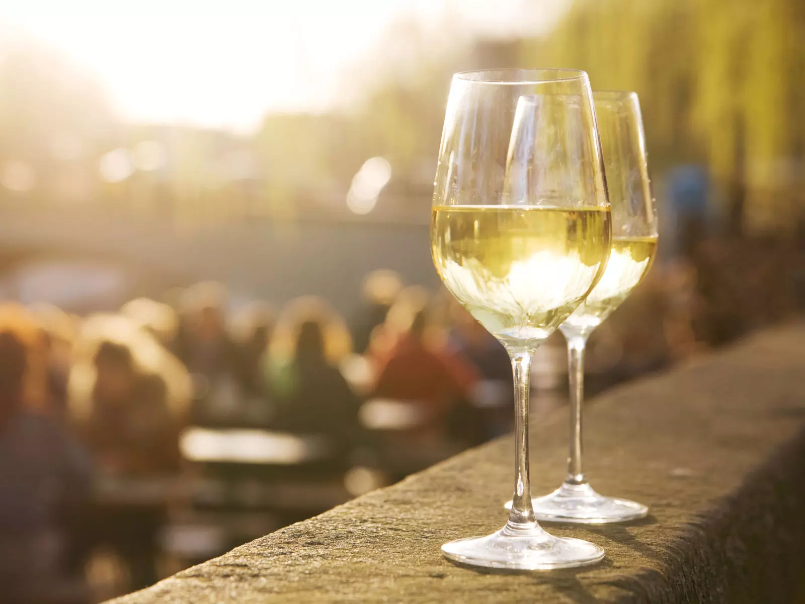 совиньон бланк вино