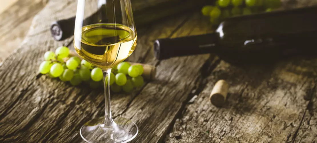вина совиньон