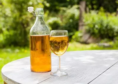 Получится ли вино из яблочного жмыха? Рецепт напитка и полезные советы