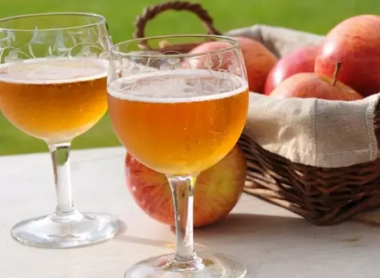 Получится ли вино из яблочного жмыха? Рецепт напитка и полезные советы