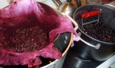 Виноградная мезга: зачем ее отжимать, каким способом, что делать дальше с отжатым жмыхом? Виды оборудования