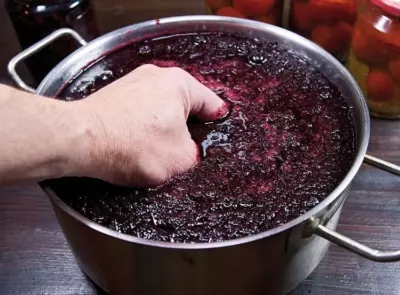 Сочетание вкуса черноплодной рябины и винограда. Рецепт вина
