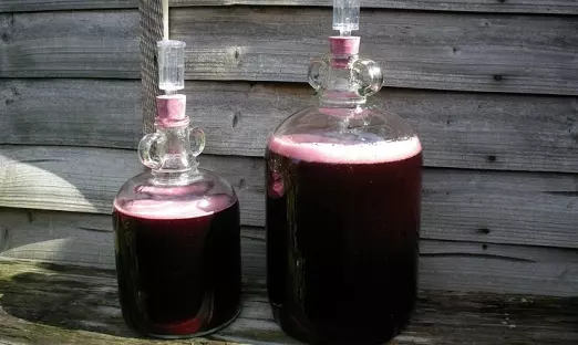 Сочетание вкуса черноплодной рябины с вишневыми листьями в вине. Рецепт и советы