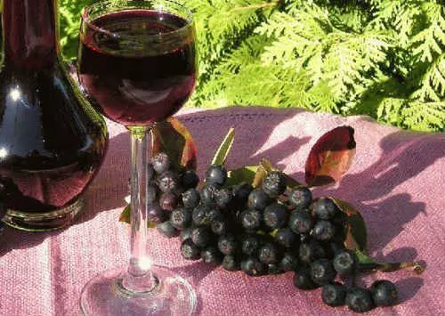 Сочетание вкуса черноплодной рябины и винограда. Рецепт вина